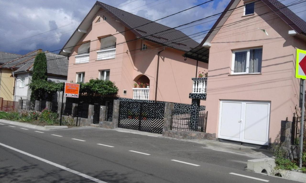 Casa Anca Hotel Sighetu Marmatiei Exterior photo
