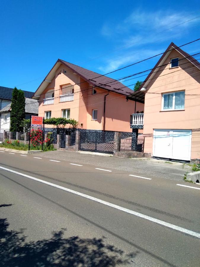Casa Anca Hotel Sighetu Marmatiei Exterior photo